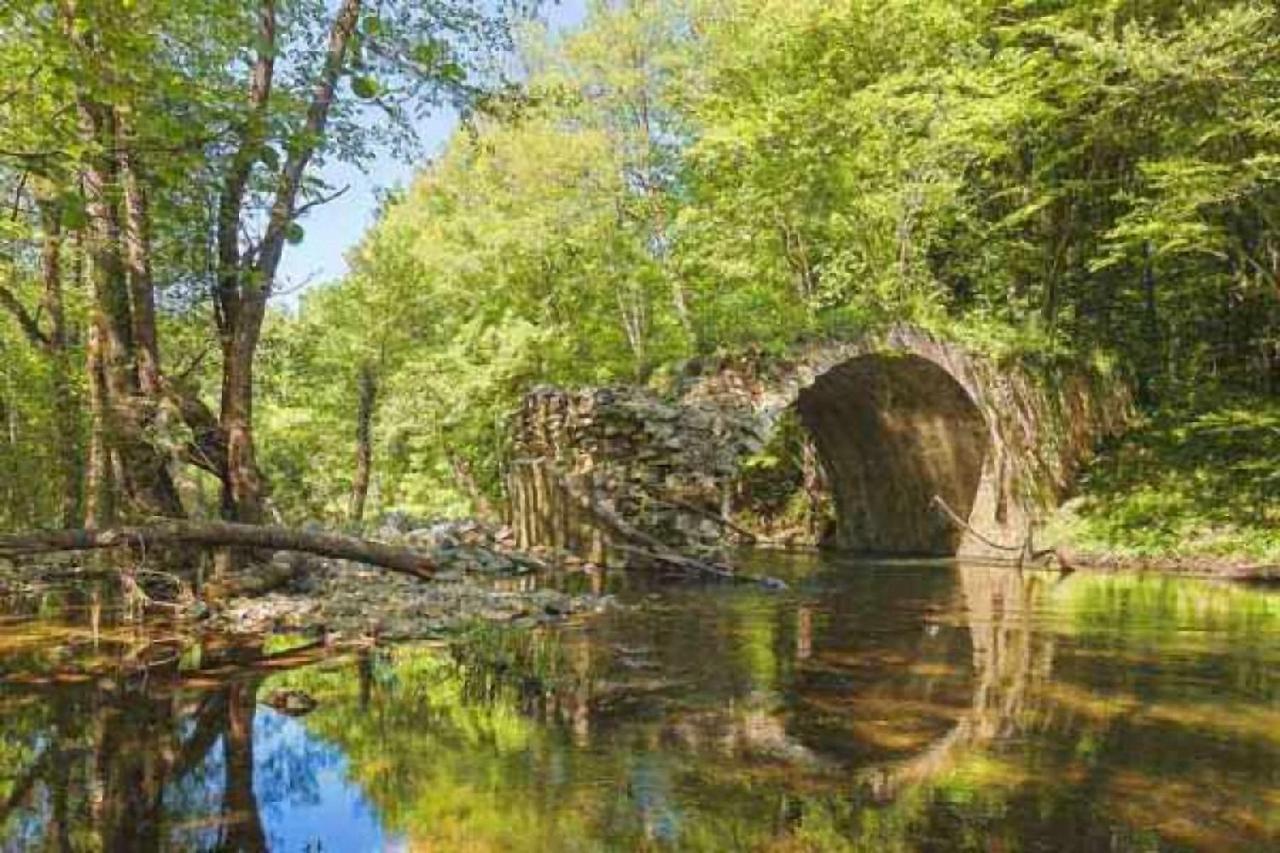 Hunting Residence Asteya Gramatikovo Zewnętrze zdjęcie