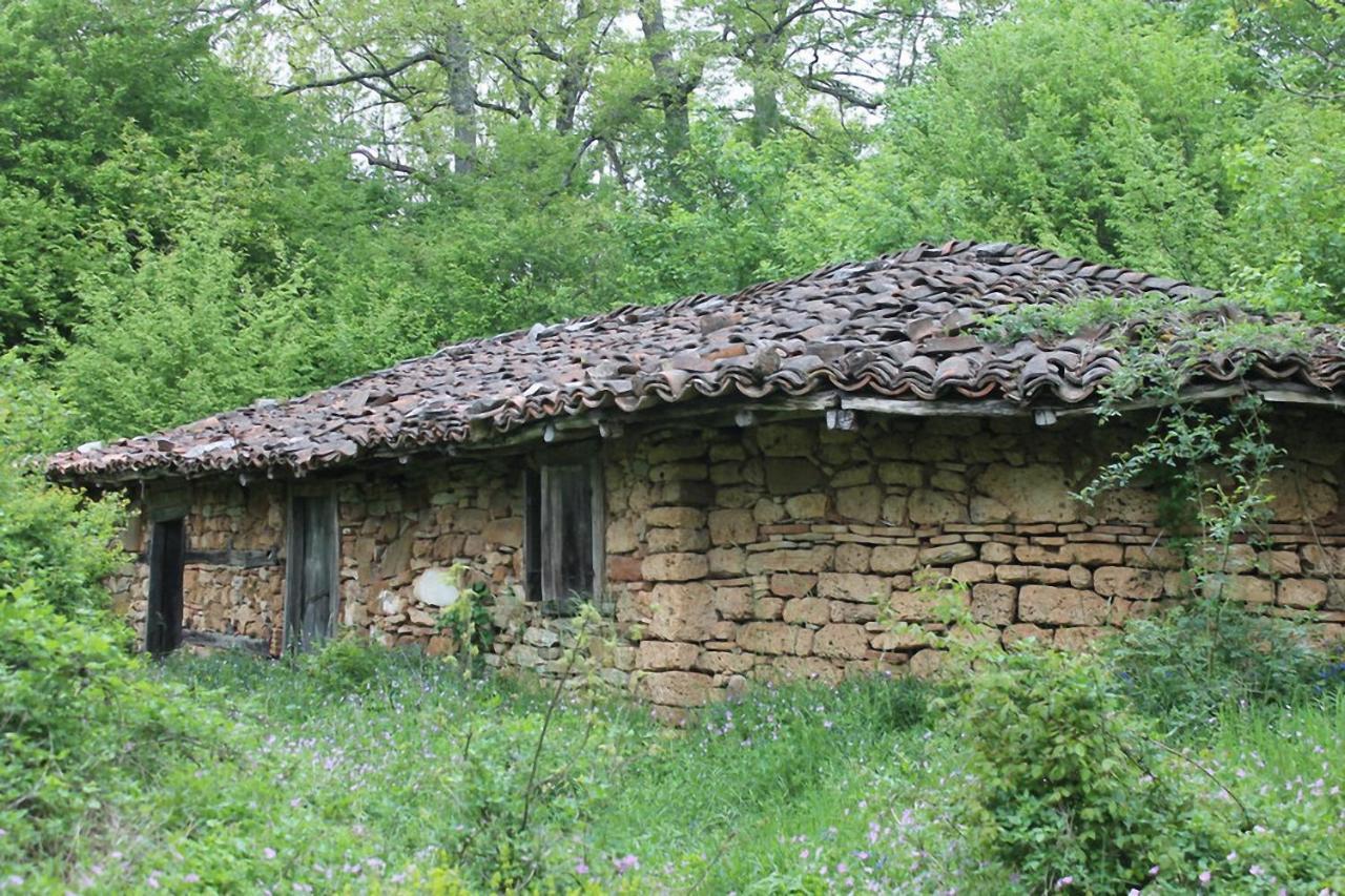 Hunting Residence Asteya Gramatikovo Zewnętrze zdjęcie