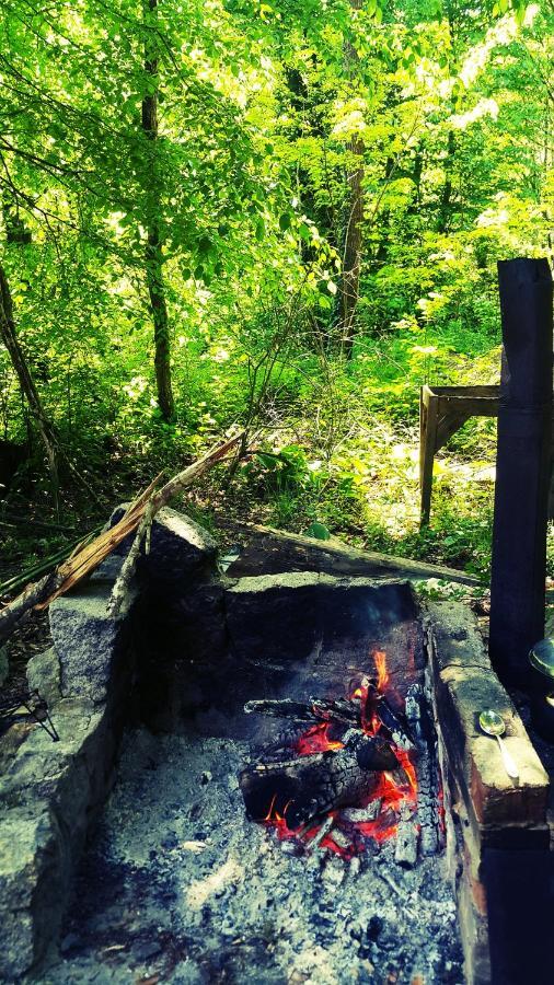 Hunting Residence Asteya Gramatikovo Zewnętrze zdjęcie