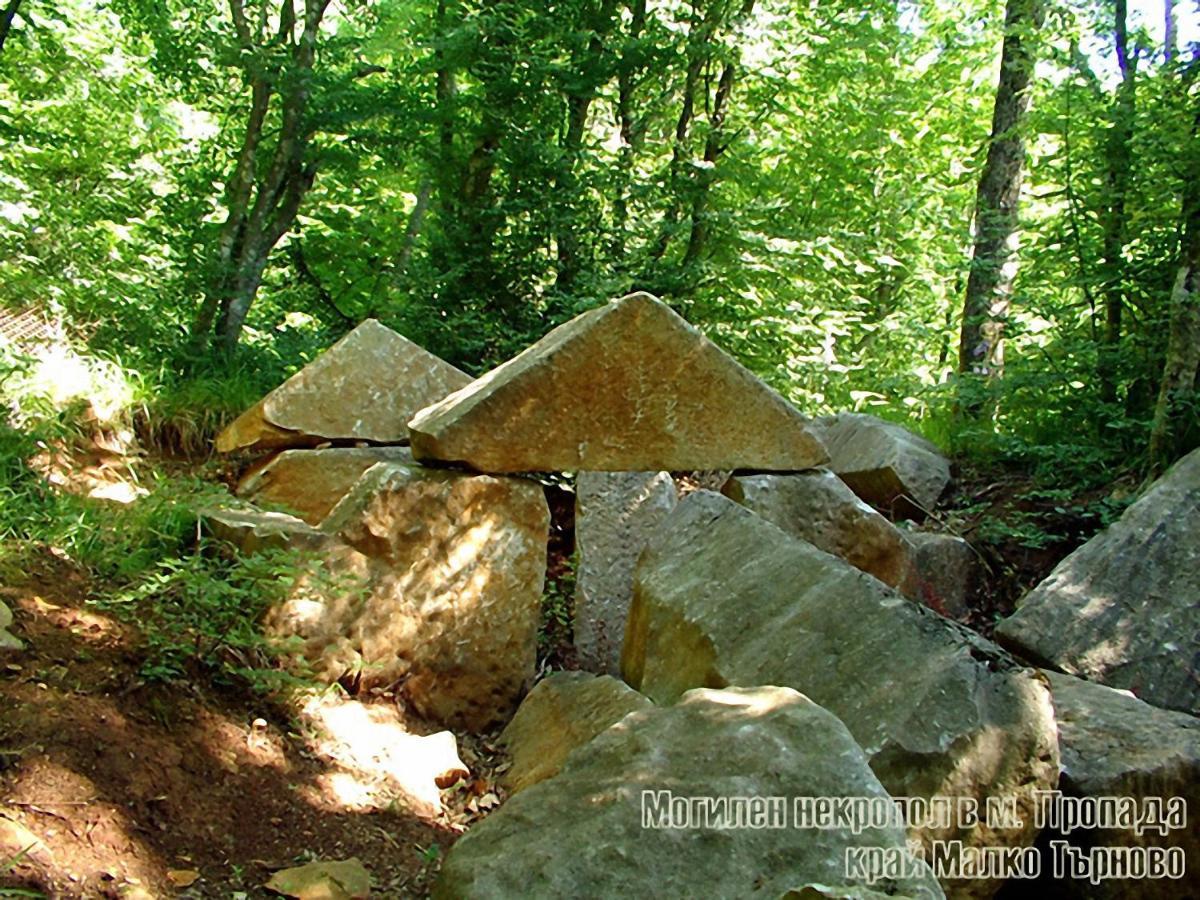Hunting Residence Asteya Gramatikovo Zewnętrze zdjęcie